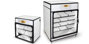 کاربرد ورق پی وی سی فومیزه در ساخت دستگاه جوجه کشی